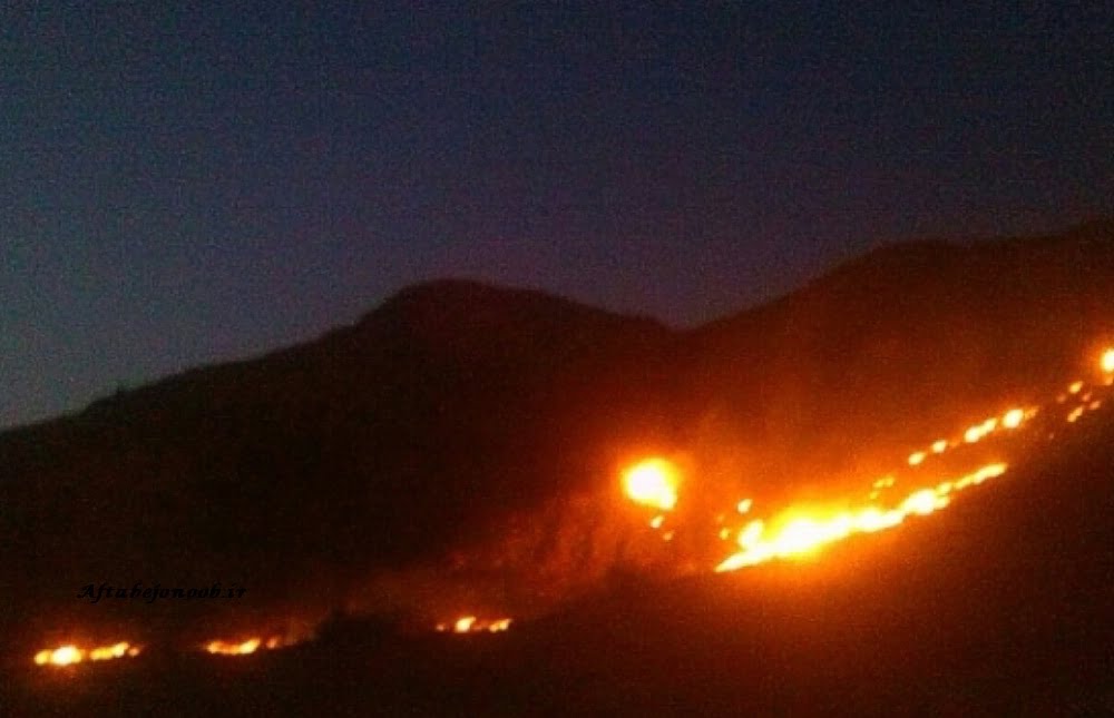 آتش سوزی ارتفاعات کوی کارکنان گچساران مهار شد