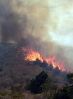 آتش سوزی جنگل ها و مراتع کوه خامی در گچساران مهار شد