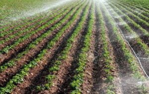 بیش از یکهزار هکتار آبیاری نوین در کهگیلویه وبویراحمد انجام شد