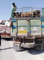 منابع طبیعی کهگیلویه وبویراحمد مانع ورود ۴۵۰ کامیون به مناطق ییلاقی شد