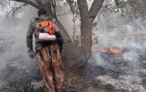 آتش سوزی به ۳۰۰ هکتار از جنگل ها و مراتع باشت خسارت زد