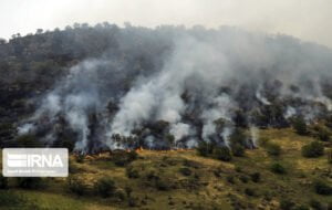 آتش سوزی در ارتفاعات شاه بهرام در باشت ادامه دارد