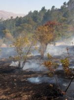 آتش سوزی در ارتفاعات گچساران به طور کامل مهارشد