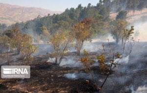آتش سوزی در ارتفاعات گچساران به طور کامل مهارشد