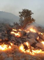 آتش سوزی کوه لار باشت همچنان ادامه دارد