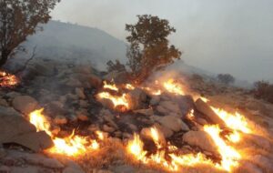 بخش عمده ای از آتش سوزی جنگل ها ومراتع منطقه شاه بهرام در باشت مهار شد