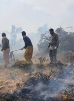 جنگل‌های منطقه دیل گچساران همچنان در آتش می‌سوزد