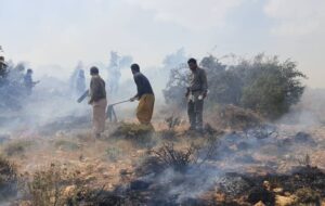 جنگل‌های سرفاریاب برای سومین بار شعله ورشد