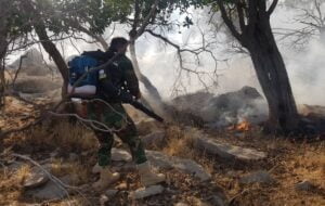 آتش‌سوزی همچنان منابع جنگلی کهگیلویه و بویراحمد را تهدید می‌کند