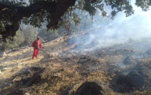 مدیرکل منابع طبیعی: جنگل ها و مراتع گچساران در آتش می‌سوزد
