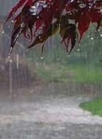 ورود سامانه بارشی به کهگیلویه و بویراحمد / بارش باران از یاسوج تا گچساران