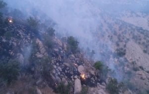 ۳ بالگرد برای کمک به مهار آتش در ارتفاعات گچساران اعزام شد