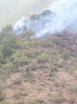 تلاش برای مهار آتش سوزی در کوه سیاه کهگیلویه ادامه دارد