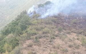 تلاش برای مهار آتش سوزی در کوه سیاه کهگیلویه ادامه دارد