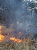 جنگل ها و مراتع کوه شره کهگیلویه دچار آتش سوزی شد