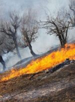 کوه پهن گچساران در آتش می‌سوزد / اعزام نیروهای امدادی به منطقه