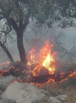 آتش در جنگلهای “کوه نیر” کهگیلویه و بویراحمد دوباره زبانه کشید