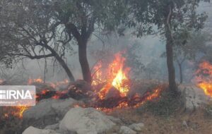 امسال ۳۸ فقره آتش سوزی در جنگل های کهگیلویه و بویراحمد مهار شد