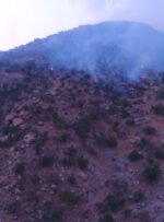مهار آتش سوزی کوه نیر لوداب سخت شده است