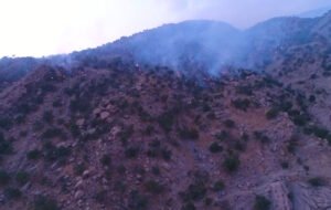 مهار آتش سوزی کوه نیر لوداب سخت شده است مهار آتش سوزی کوه نیر لوداب سخت شده است