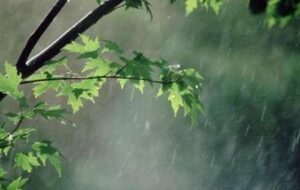 کشاورزان کهگیلویه و بویراحمد شرایط بارش های امسال را در نظر بگیرند کشاورزان کهگیلویه و بویراحمد شرایط بارش های امسال را در نظر بگیرند