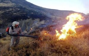 آتش سوزی در جنگل ها و مراتع گچساران همچنان ادامه دارد