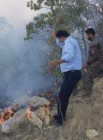 آتش‌سوزی جنگل‌ها و مراتع منطقه مزیز گناوه لری در گچساران مهار شد