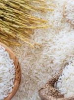 قیمت سیب زمینی و برنج در کهگیلویه و بویراحمد متعادل می‌شود