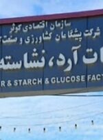 آخرین وضعیت کارخانه آرد و نشاسته یاسوج از زبان استاندار/ احمدزاده: رایزنی‌ها بی‌نتیجه بوده است