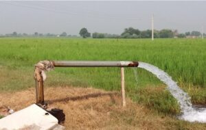آبیاری بیش از ۳ هزار هکتار اراضی باشت با آب چاه