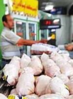 جوجه‌ریزی ۲۴۲ هزار قطعه در مرغداری های گچساران/مرغ گرم ماه رمضان گچساران تأمین است