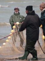 پایان فصل صید ماهیان استخوانی در دریای خزر / خبر خوش برای صیادان در راه است