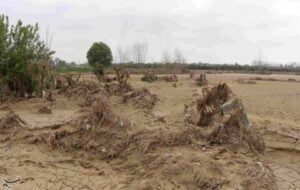 خسارت جدی تگرگ به ۷۰۰ هکتار محصولات کشاورزی/ تیر خلاص به تولید در کهگیلویه و بویراحمد