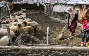 زمین‌خواری به نام آغل گوسفندان در کهگیلویه و بویراحمد