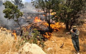 آتش سوزی جنگل‌های منطقه خامی همچنان ادامه دارد