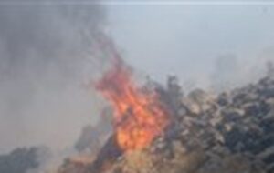 آتش سوزی در جنگل‌های شهرستان باشت مهار شد