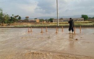 آخرین شرایط سیلاب در چاروسا/ از وعده‌های مدیر آبفا تا درخواست از جهاد کشاورزی+تصویر و فیلم