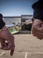 دستگیری موبایل قاپ حرفه‌ای با ۲۰ دستگاه تلفن همراه سرقتی