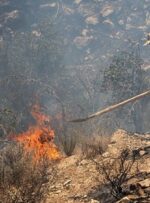 مهار آتش سوزی ارتفاعات کوه خامی گچساران پس از ۳ روز