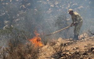 مهار آتش سوزی ارتفاعات کوه خامی گچساران پس از ۳ روز