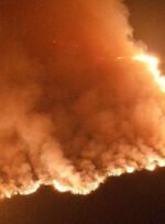عکس و فیلم دیده نشده از آتش‌سوزی ۴۰ هکتاری در تالاب بین‌المللی انزلی