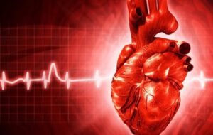 بیماری‌های قلبی و عروقی عامل ۴۰ درصد مرگ‌ها در کهگیلویه و بویراحمد/ چه کنیم بیماری قلبی نگیریم؟