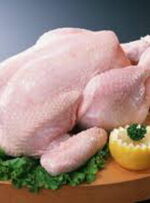 ترویج و فرهنگ‌سازی مصرف مرغ سایز در لرستان ضروری است