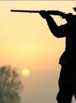 ۶ شکارچی غیرمجاز در منطقه کیاشهر آستانه اشرفیه دستگیر شدند