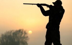 ۶ شکارچی غیرمجاز در منطقه کیاشهر آستانه اشرفیه دستگیر شدند