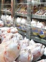 آخرین اخبار از تولید گوشت سفید در گچساران/ جوجه ریزی بیش از ۱ میلیون قطعه در مرغداری‌ها