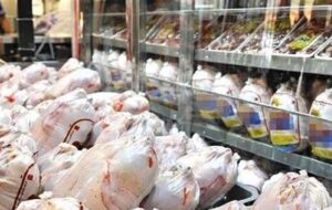 آخرین اخبار از تولید گوشت سفید در گچساران/ جوجه ریزی بیش از ۱ میلیون قطعه در مرغداری‌ها
