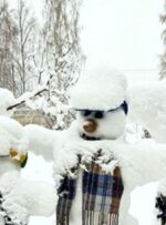 جشنواره «یک روز داغ برفی» فردا در اردبیل برگزار می‌شود