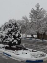 قطعی چند ساعته برق برخی از مناطق شهر یاسوج به دلیل بارش برف