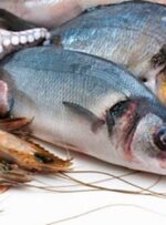 نخستین جشنواره طبخ ماهی در ماهنشان برگزار می‌شود
